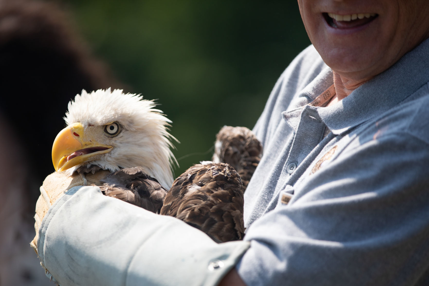 Eagle 1